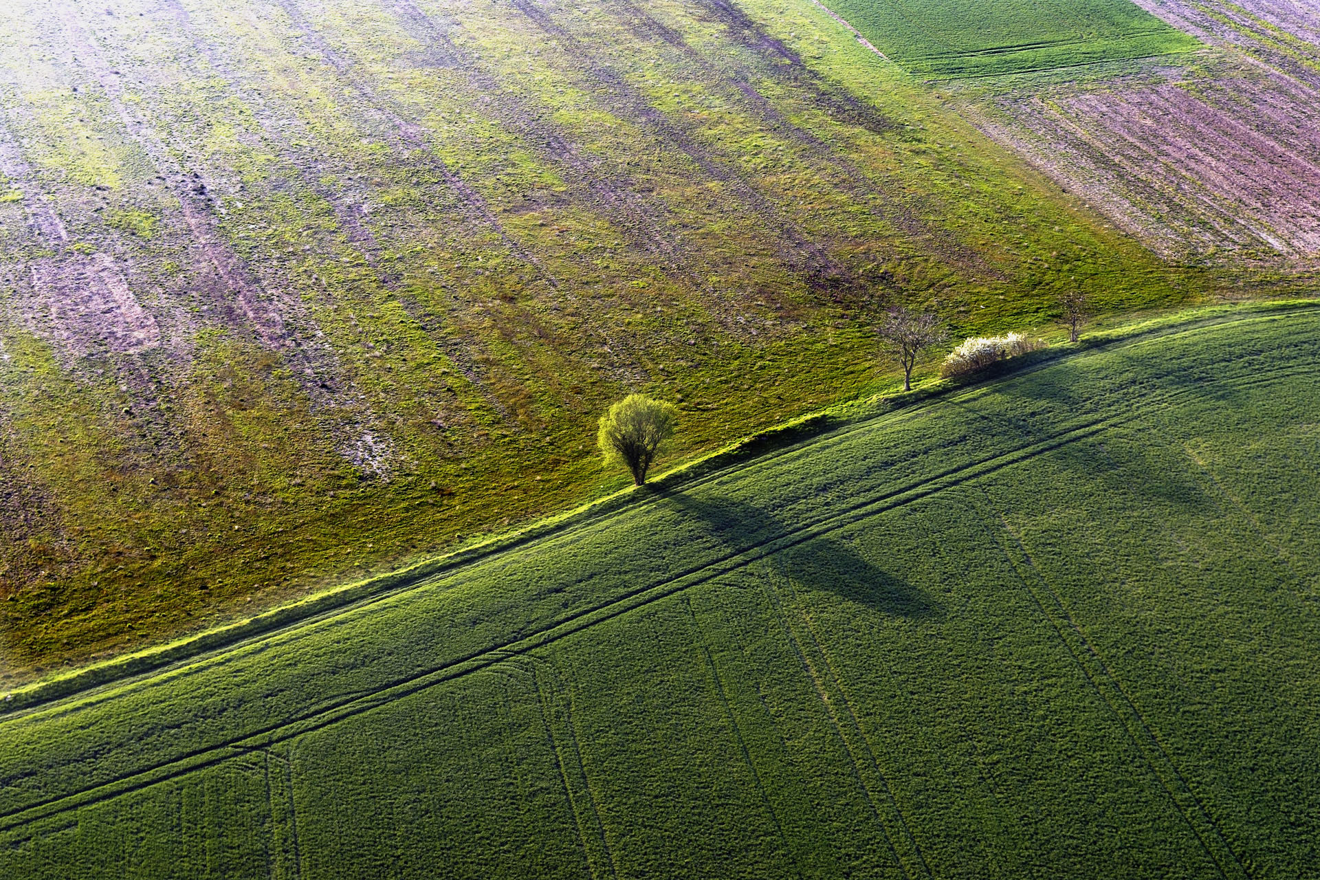 MontgolfiereTouraine 047