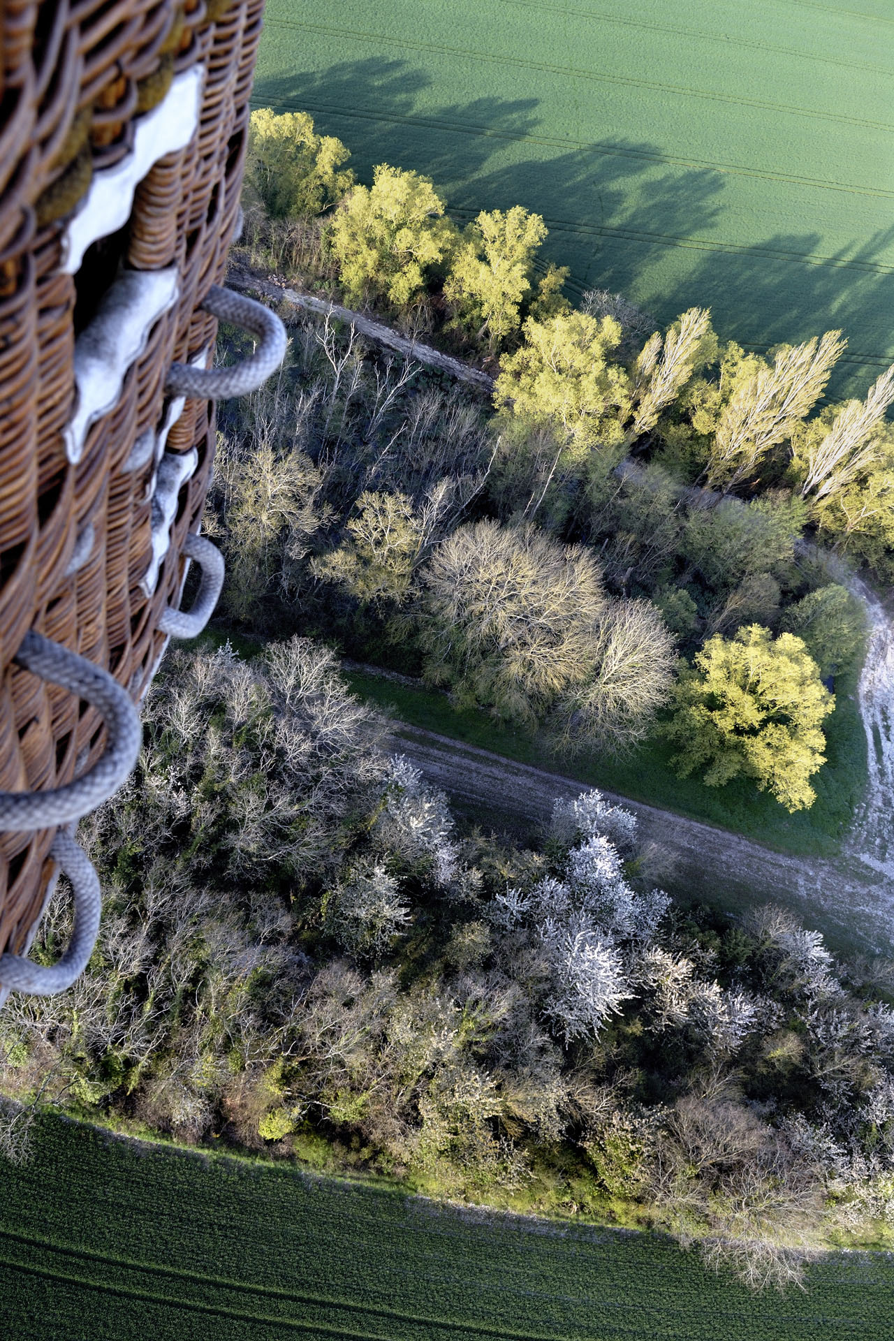 MontgolfiereTouraine 068