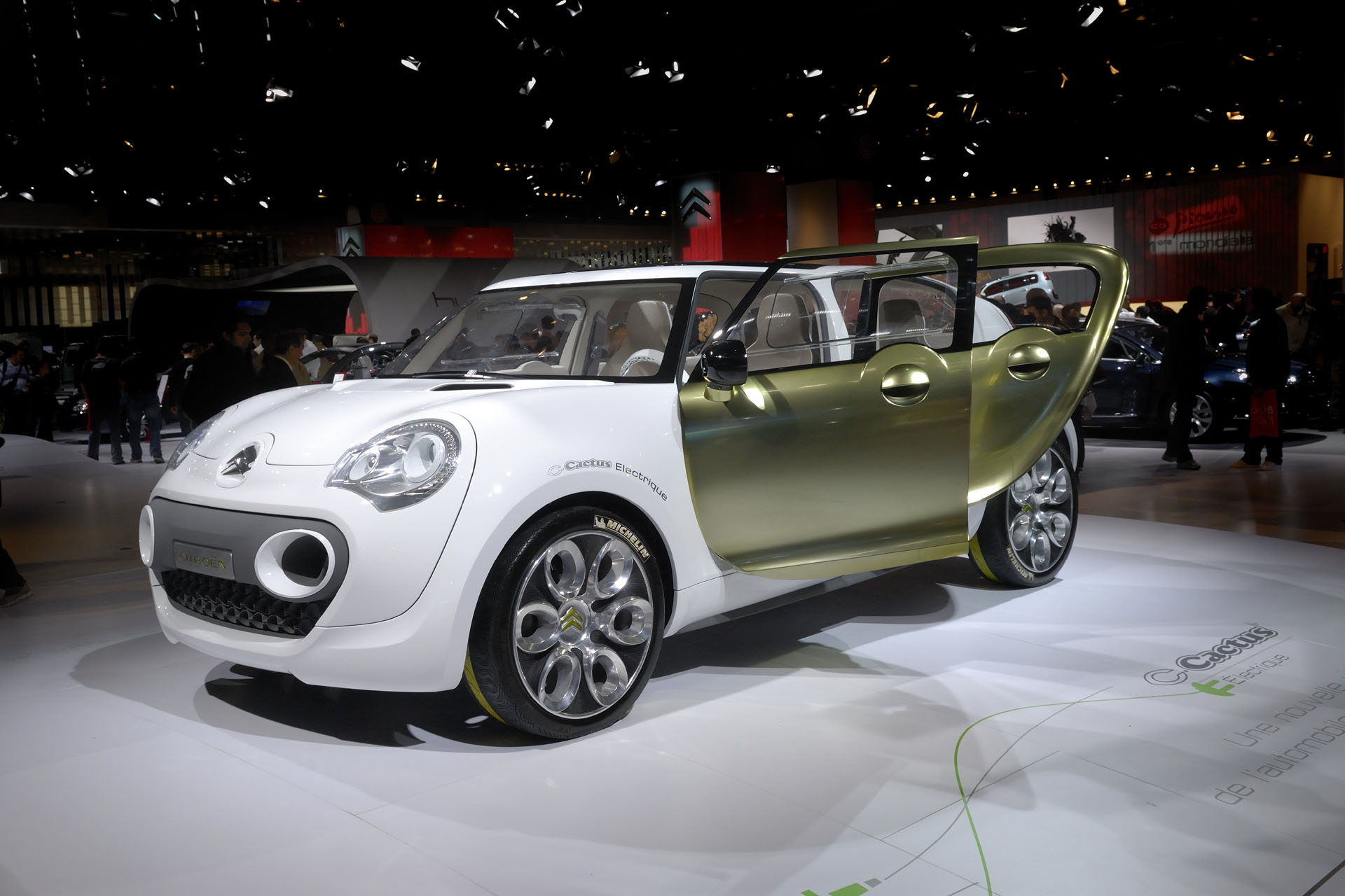 SalonAutoParis2008 004