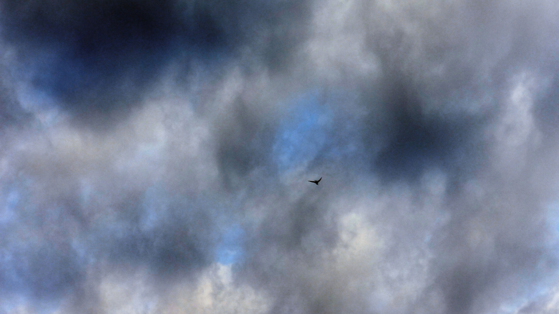 Toulouse 032