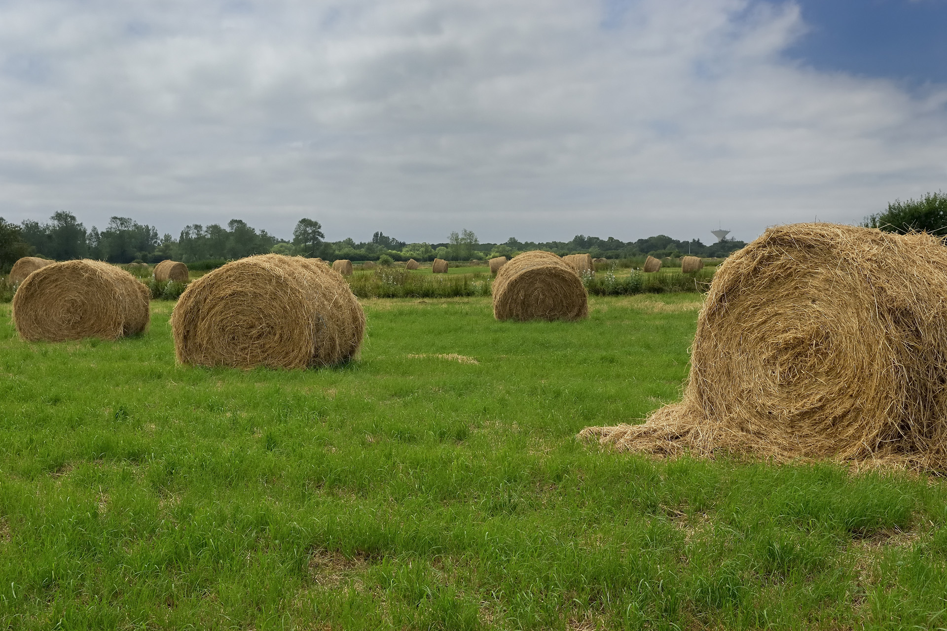 Vendee 001
