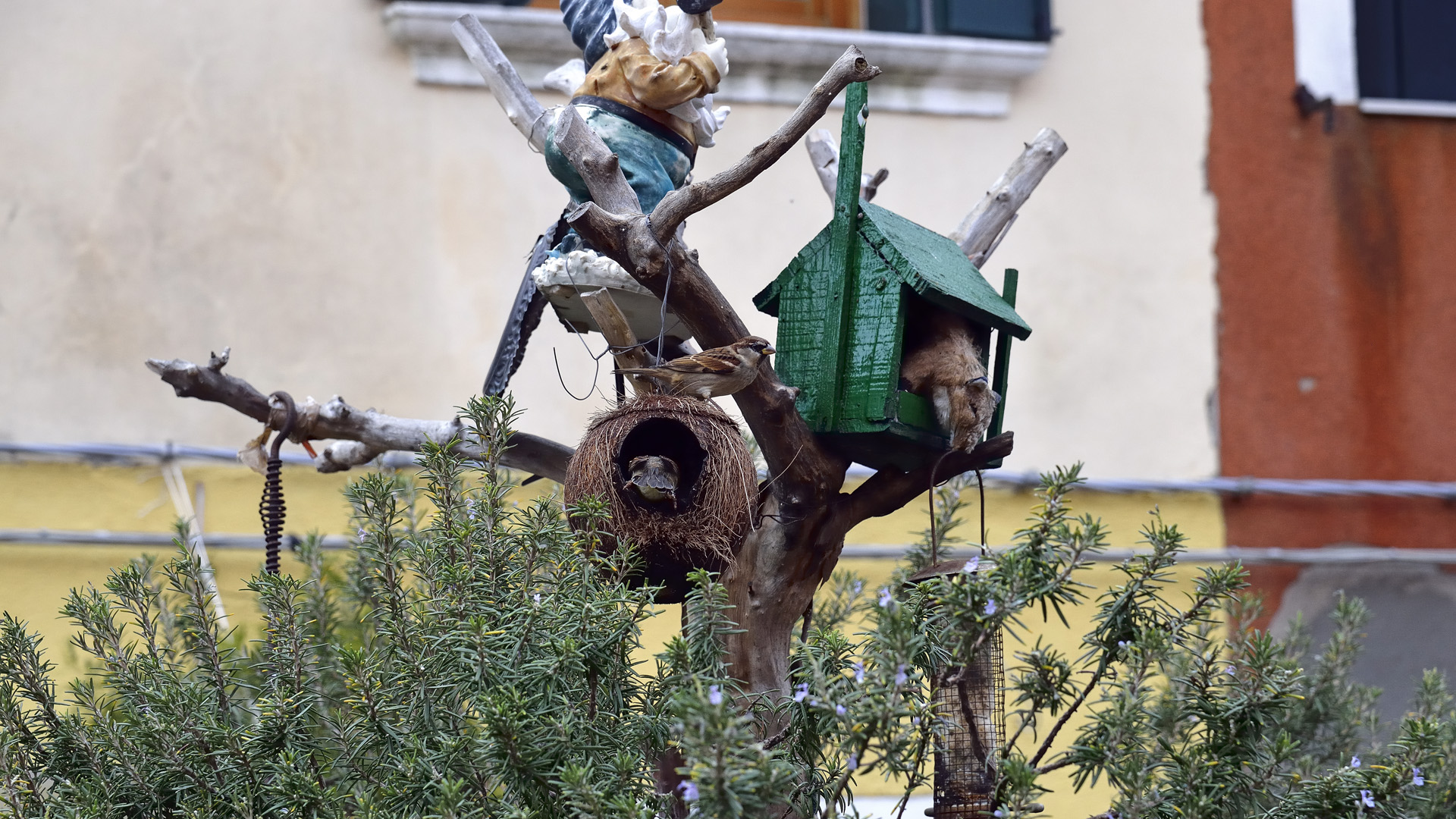 Venise 098