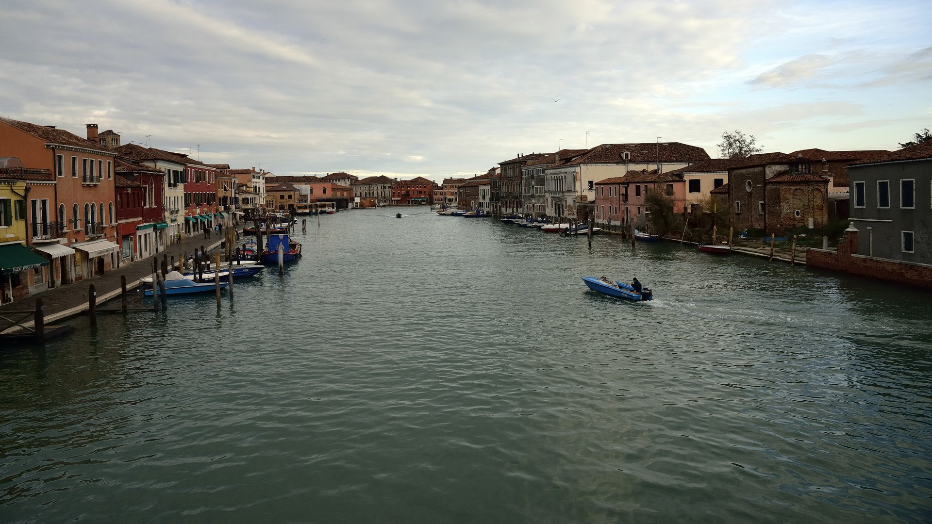Venise 100