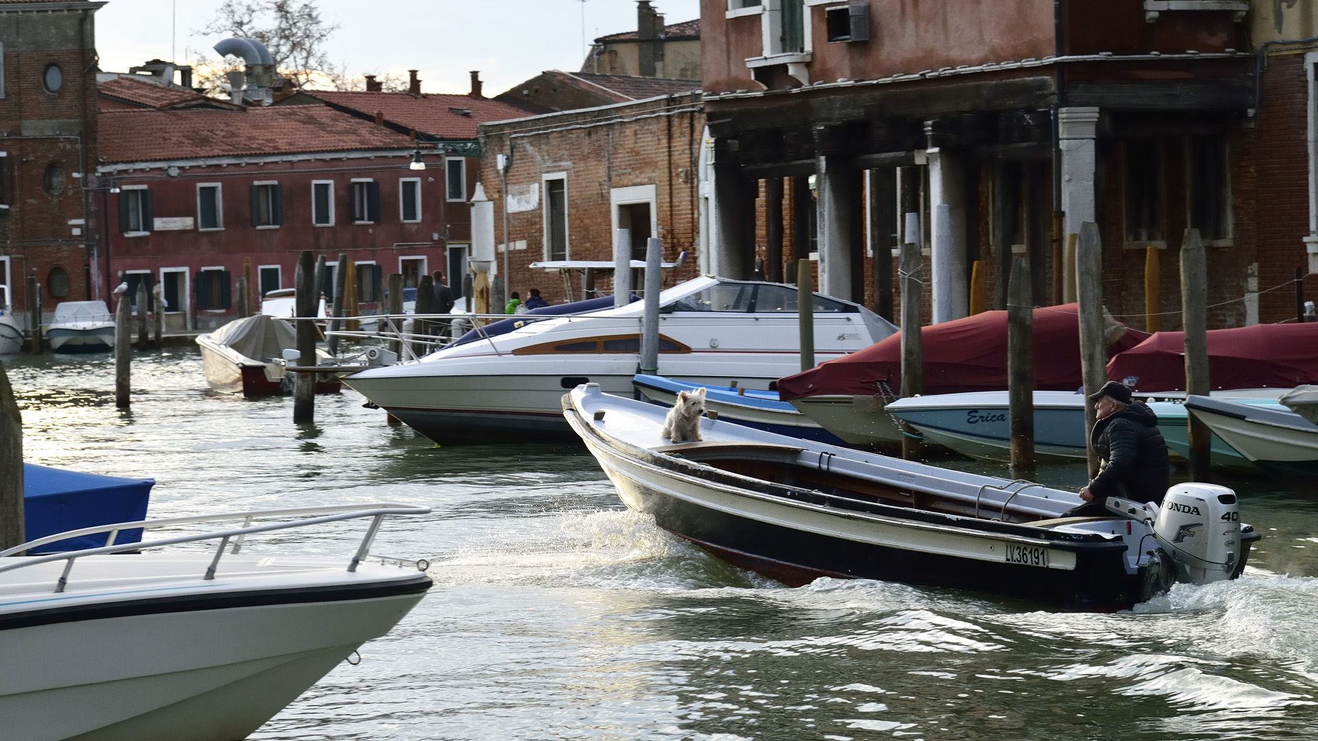 Venise 104