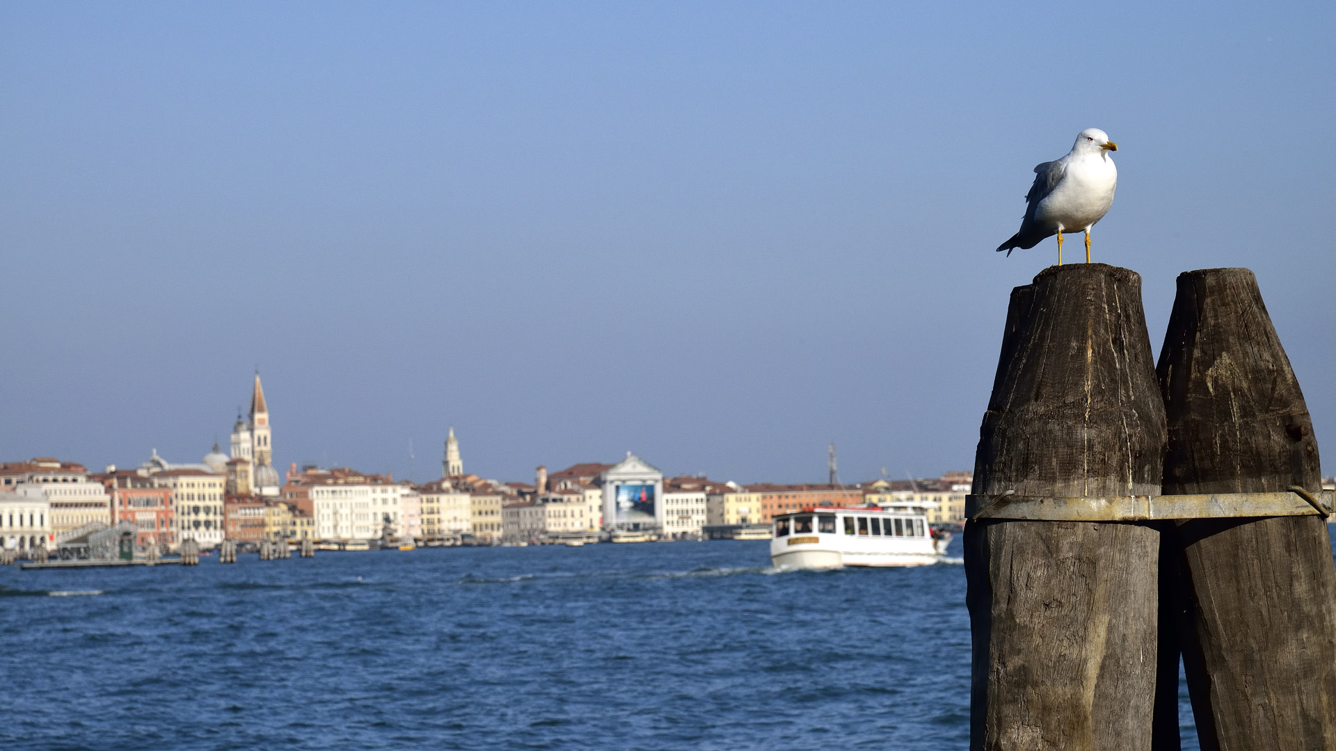 Venise 148