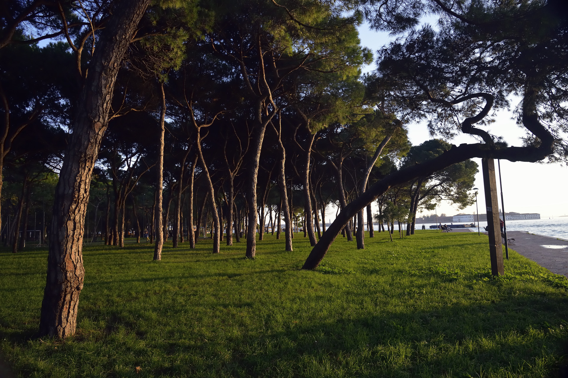 Venise 169