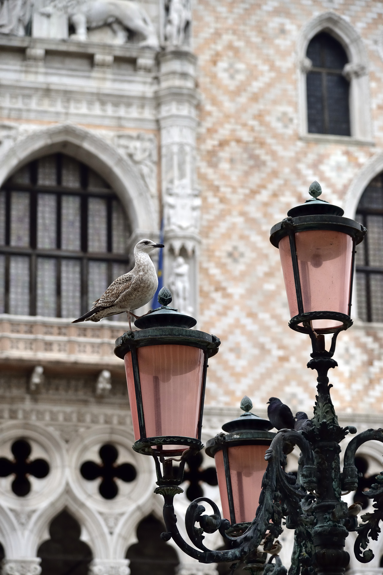 Venise 186