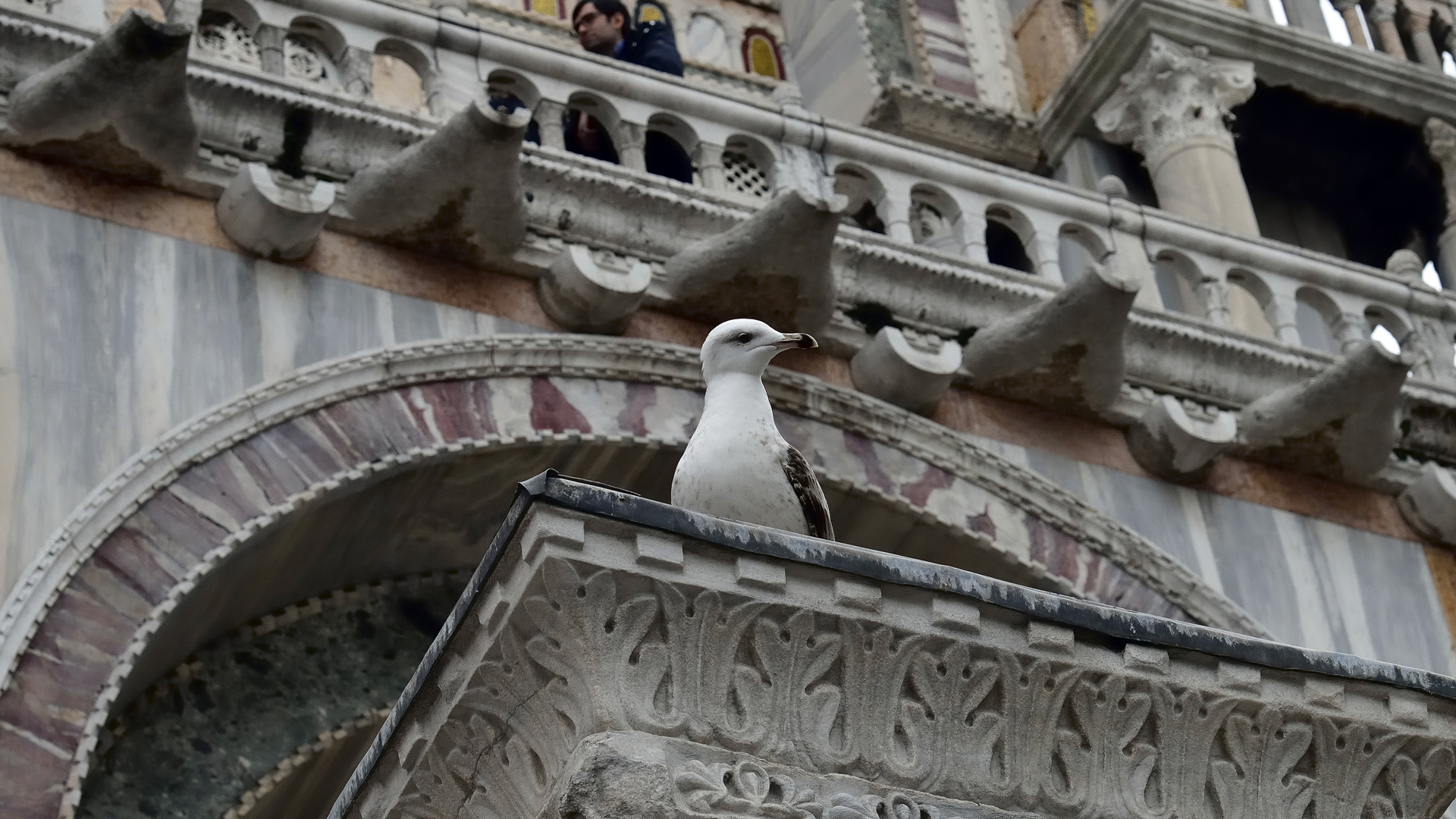 Venise 189