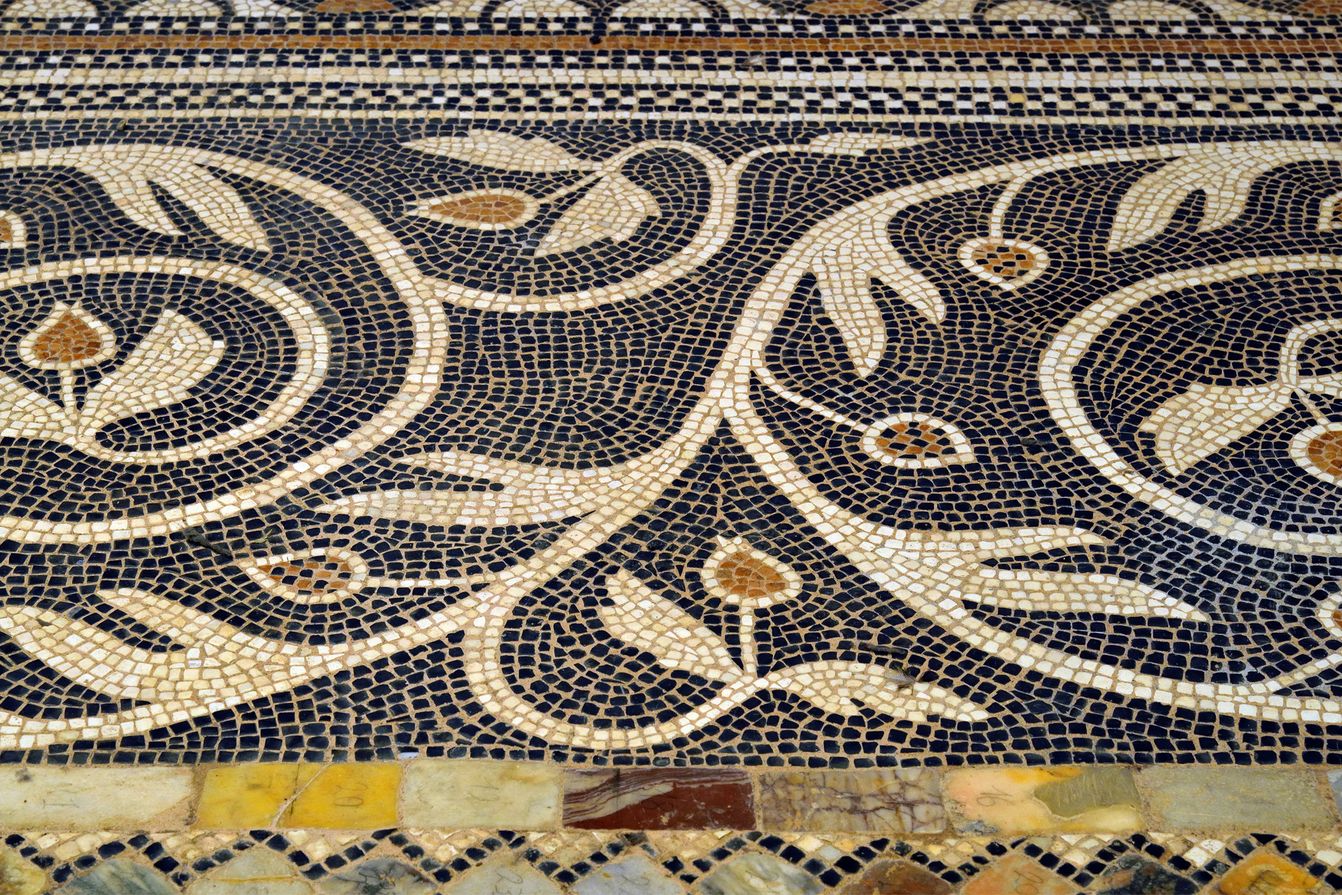 Venise 222