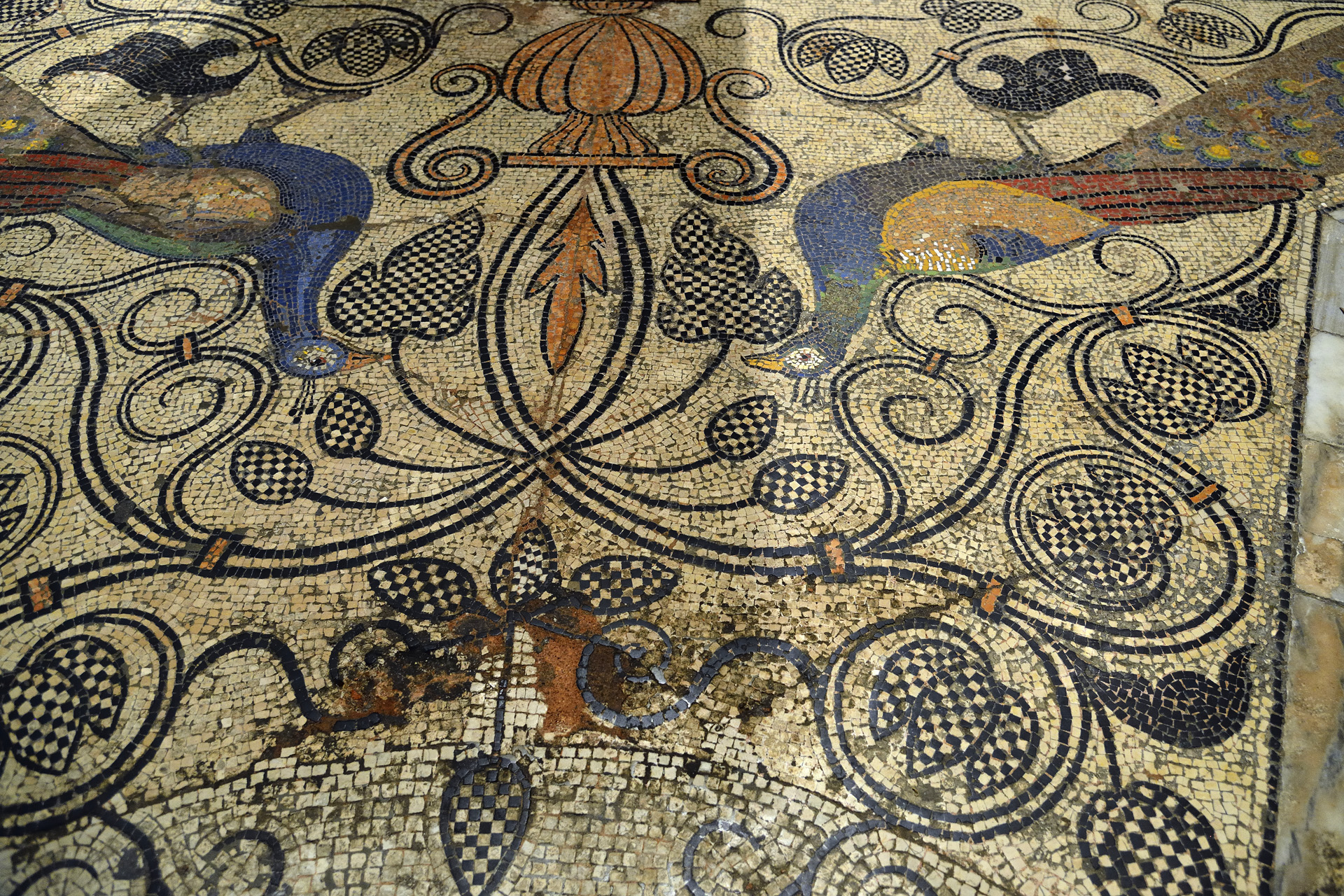 Venise 224