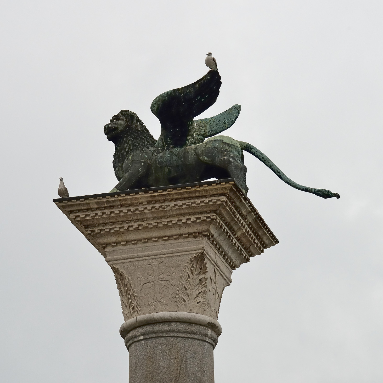 Venise 234
