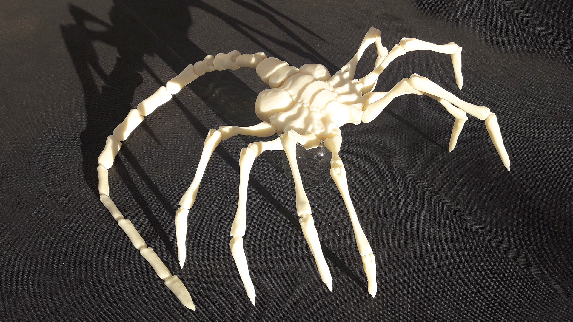 Facehugger Alien 01