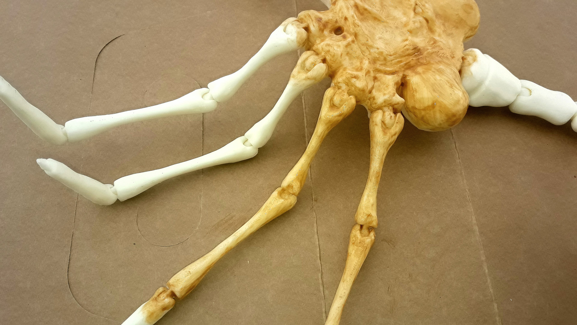 Facehugger Alien 03