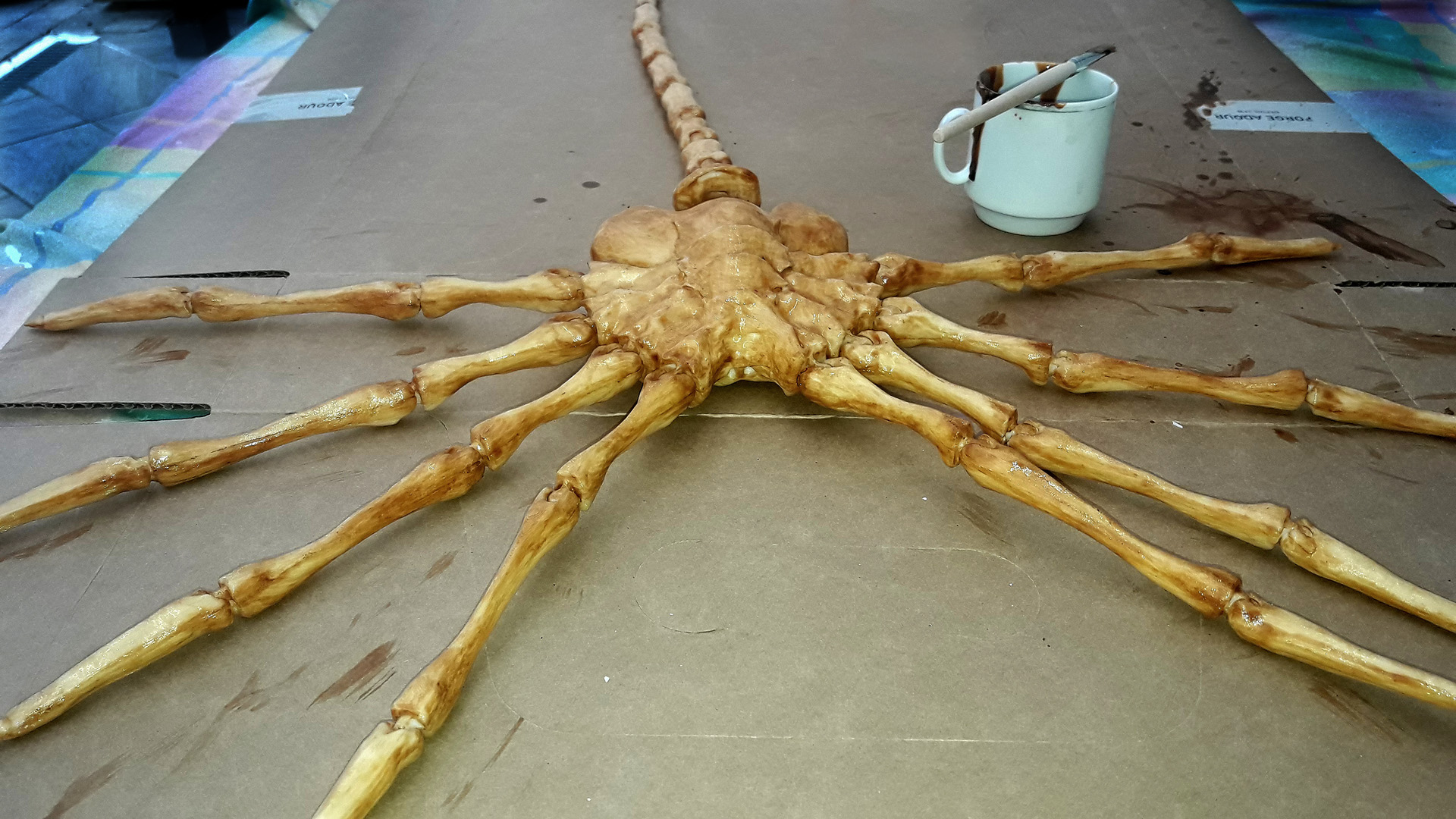 Facehugger Alien 05