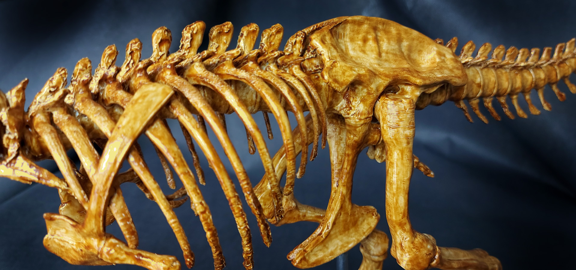 Trex-03
