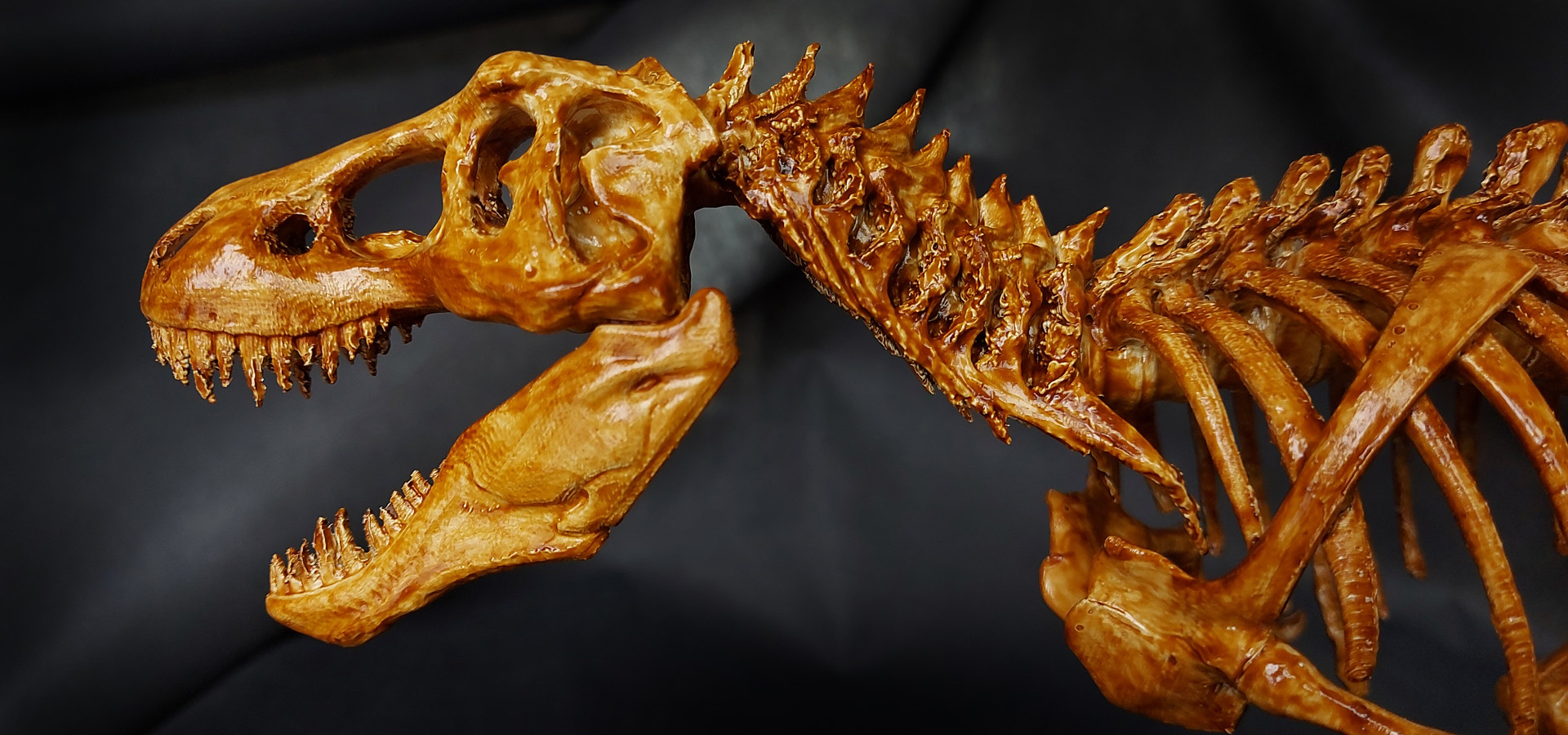 Trex-05