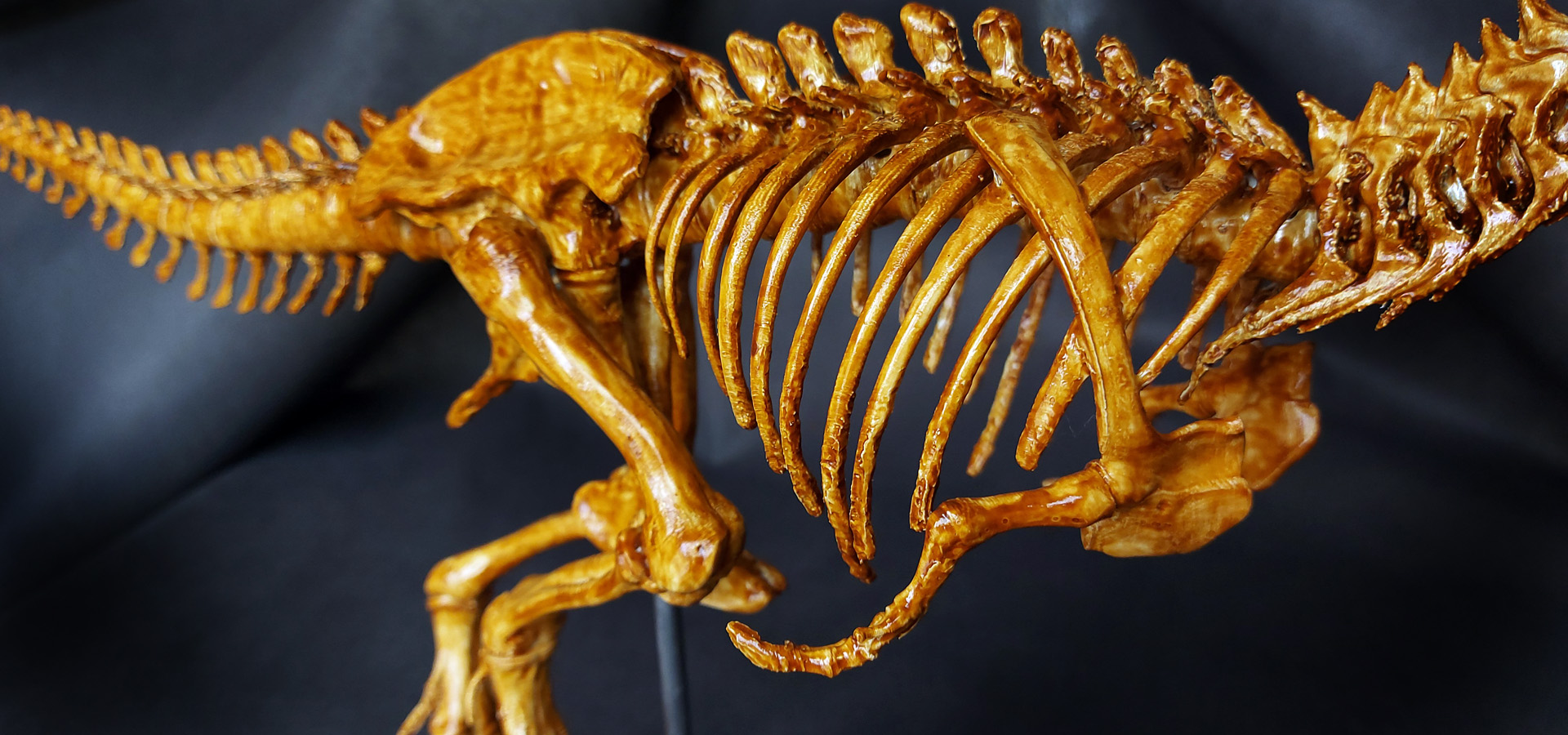 Trex-07
