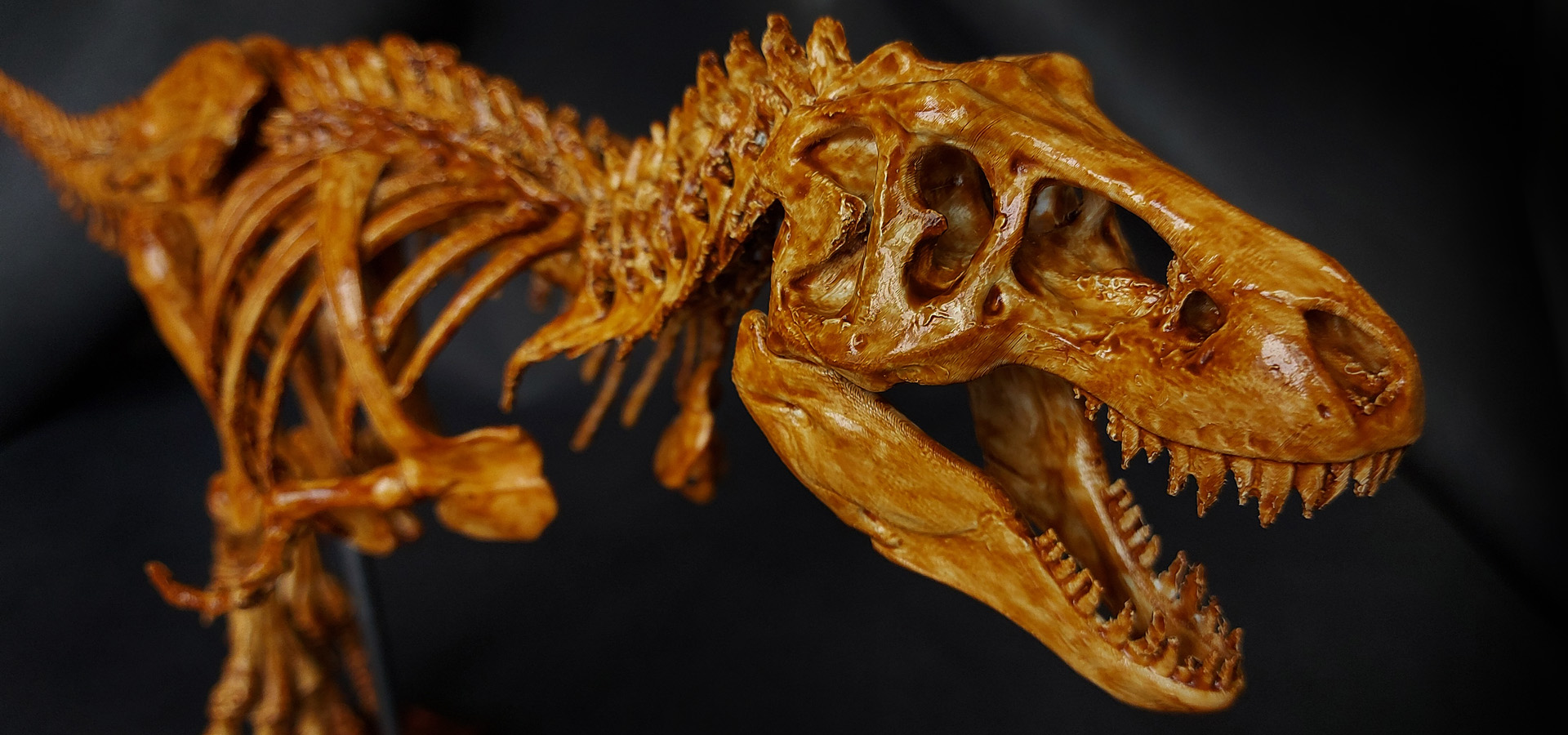 Trex-08